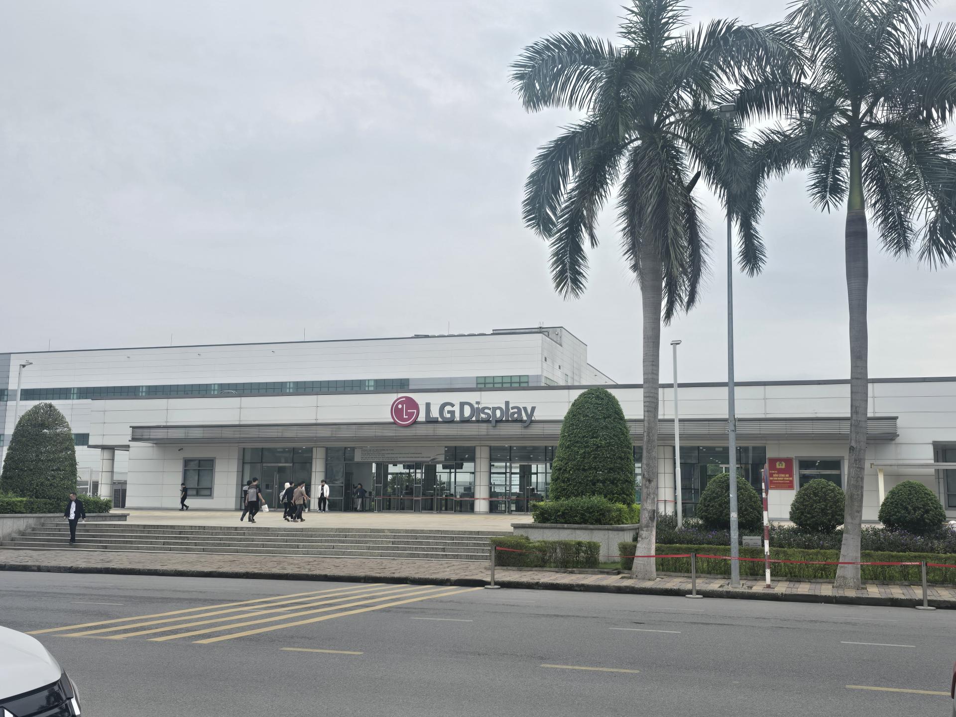 e0ad76337701a.jpg