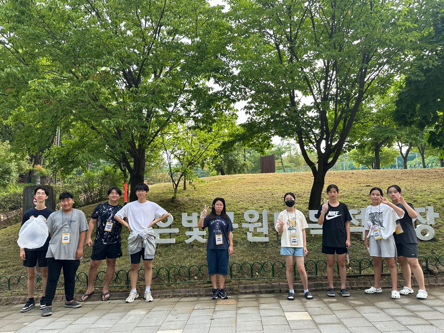 c5cdf10e17ba9.jpg