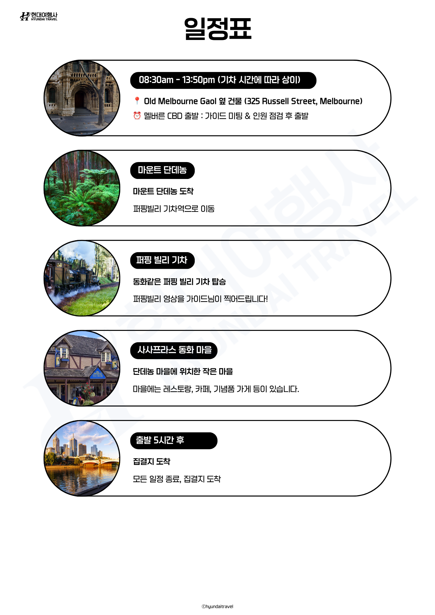 멜버른 퍼핑빌리 증기기관차 데이투어