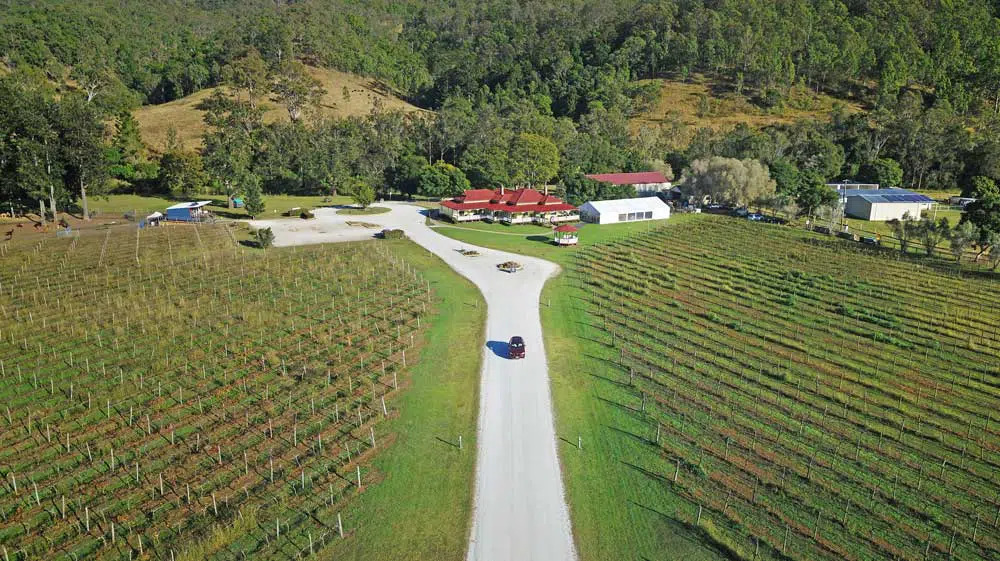 오렐리 와이너리 알파카 농장
