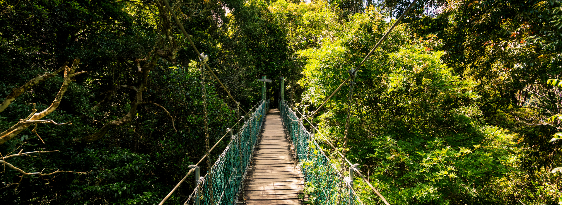 오렐리 & 탬버린 마운틴