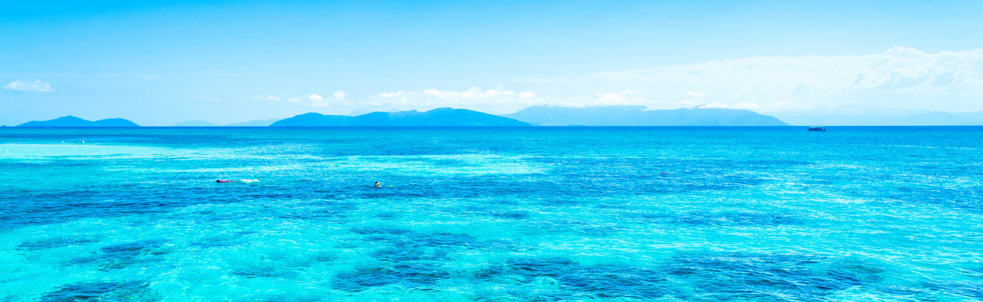 리프 스노클링/크루즈