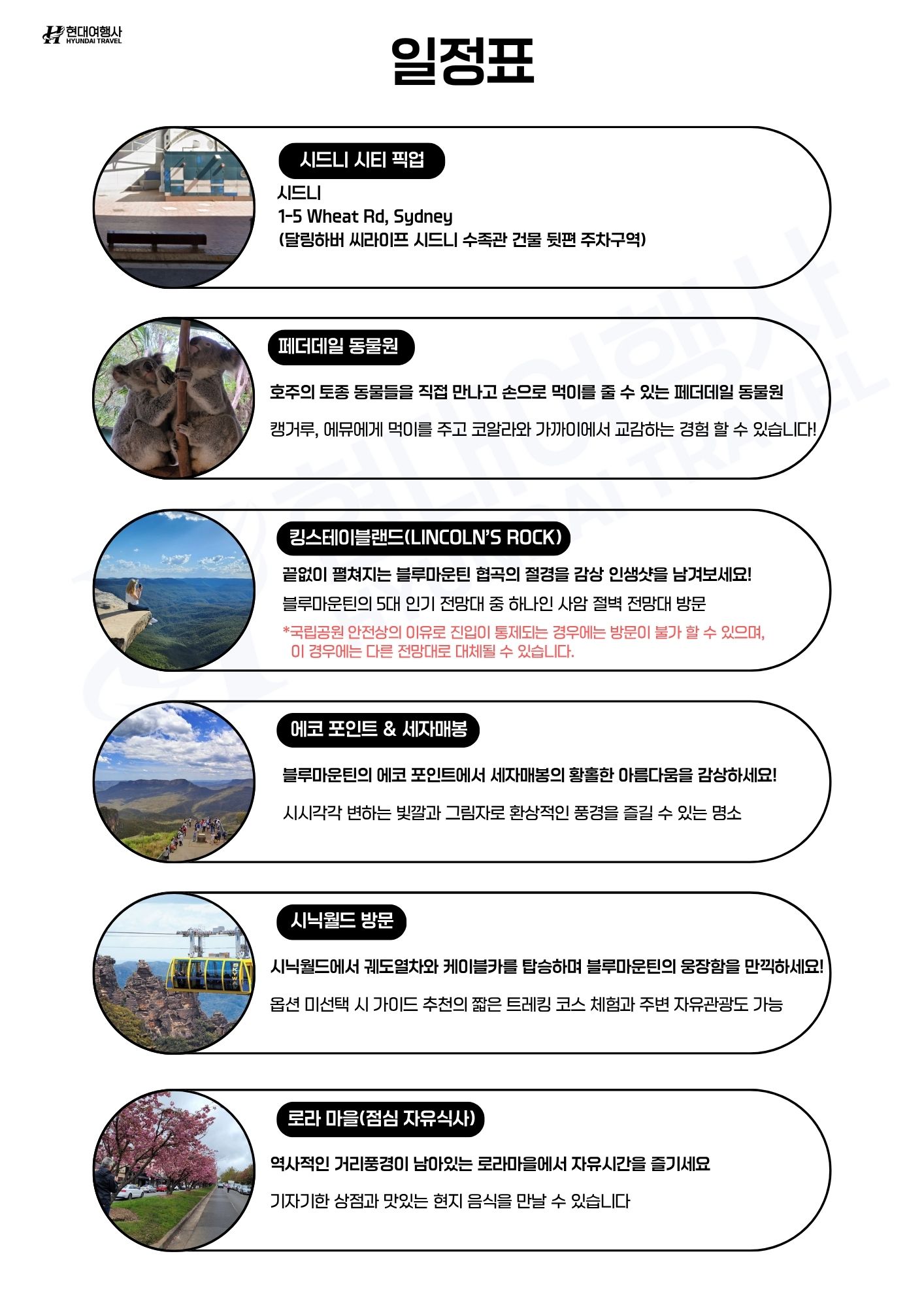 시드니 블루마운틴 & 페더데일 야생 동물원