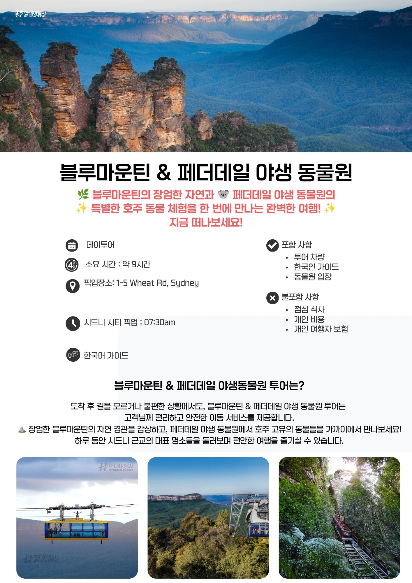 시드니 블루마운틴 & 페더데일 야생 동물원
