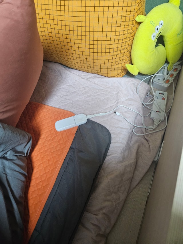 3531d49cf1e9c.jpg