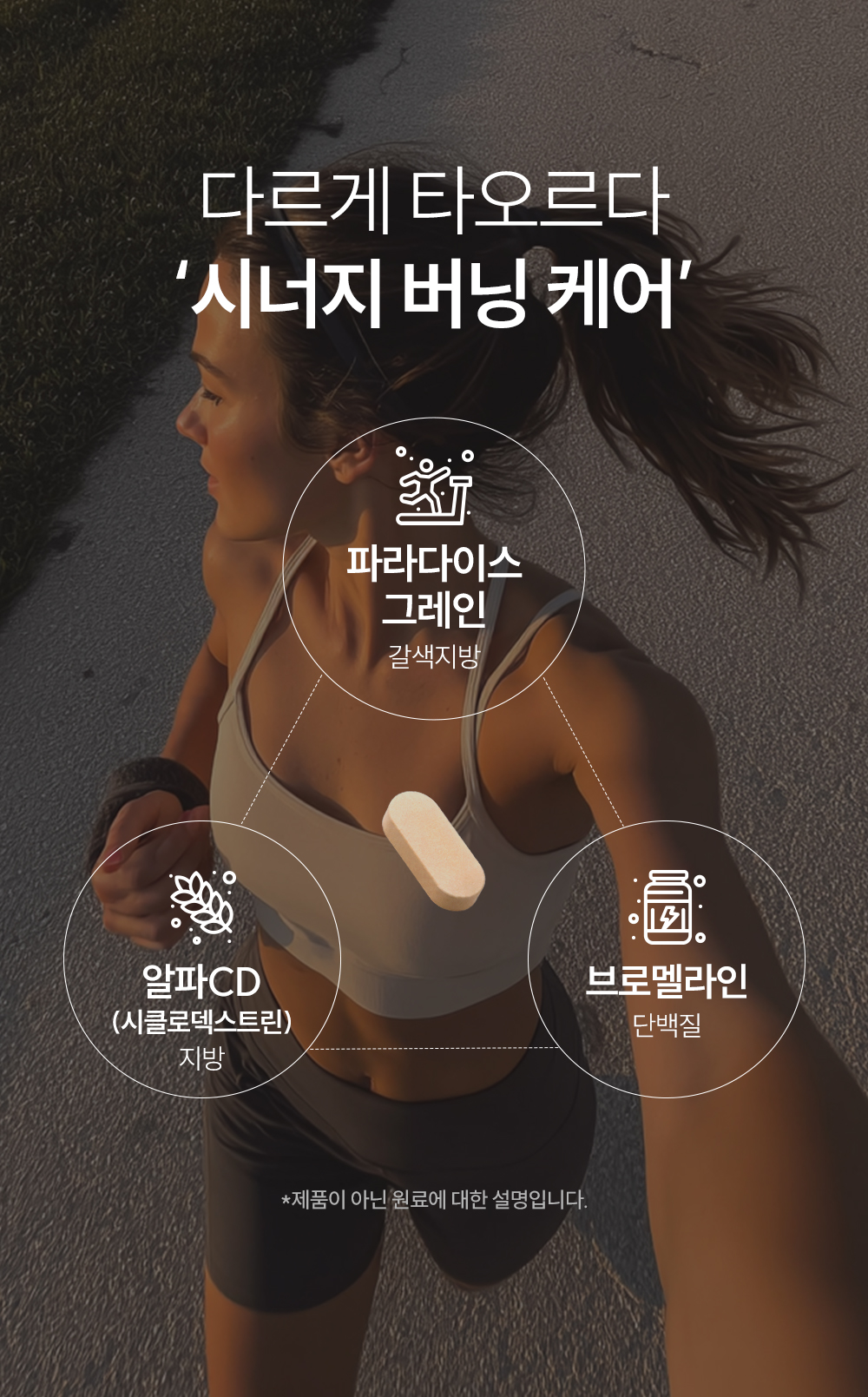 헬시플레이스 파라다이스 그레인 버닝 30g (500mg*60정)