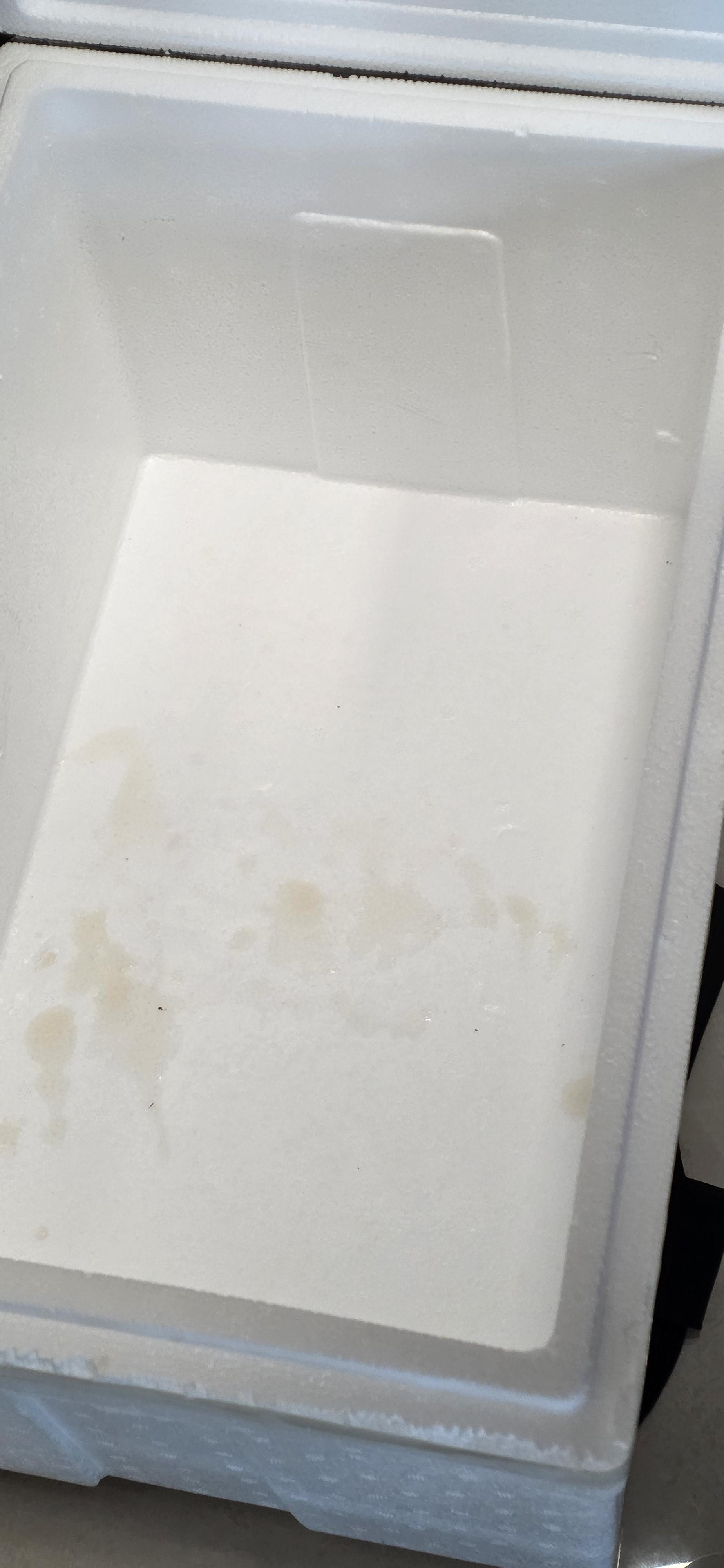 33d6fd7f77572.jpg