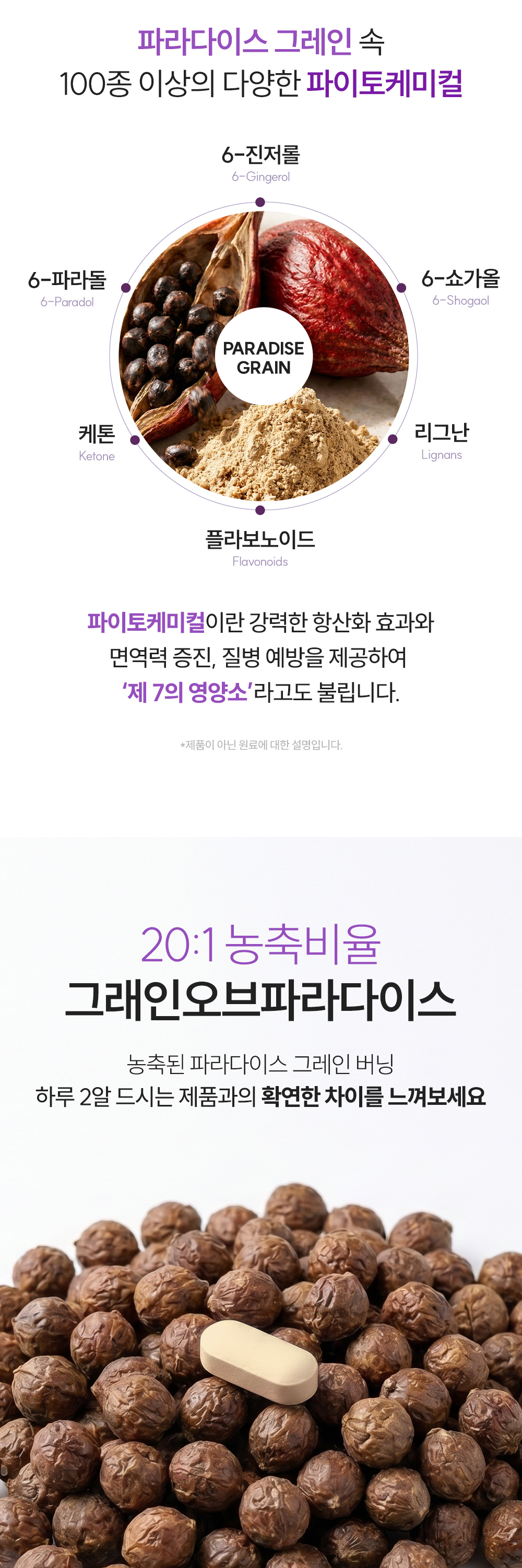 헬시플레이스 파라다이스 그레인 버닝 30g (500mg*60정)