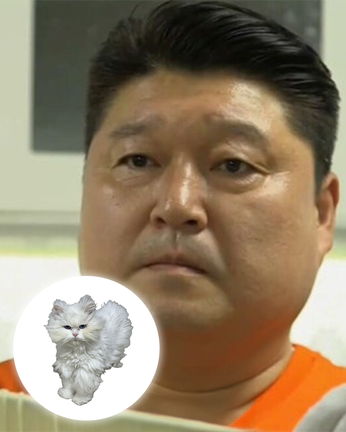 7d76e2a47d90d.png
