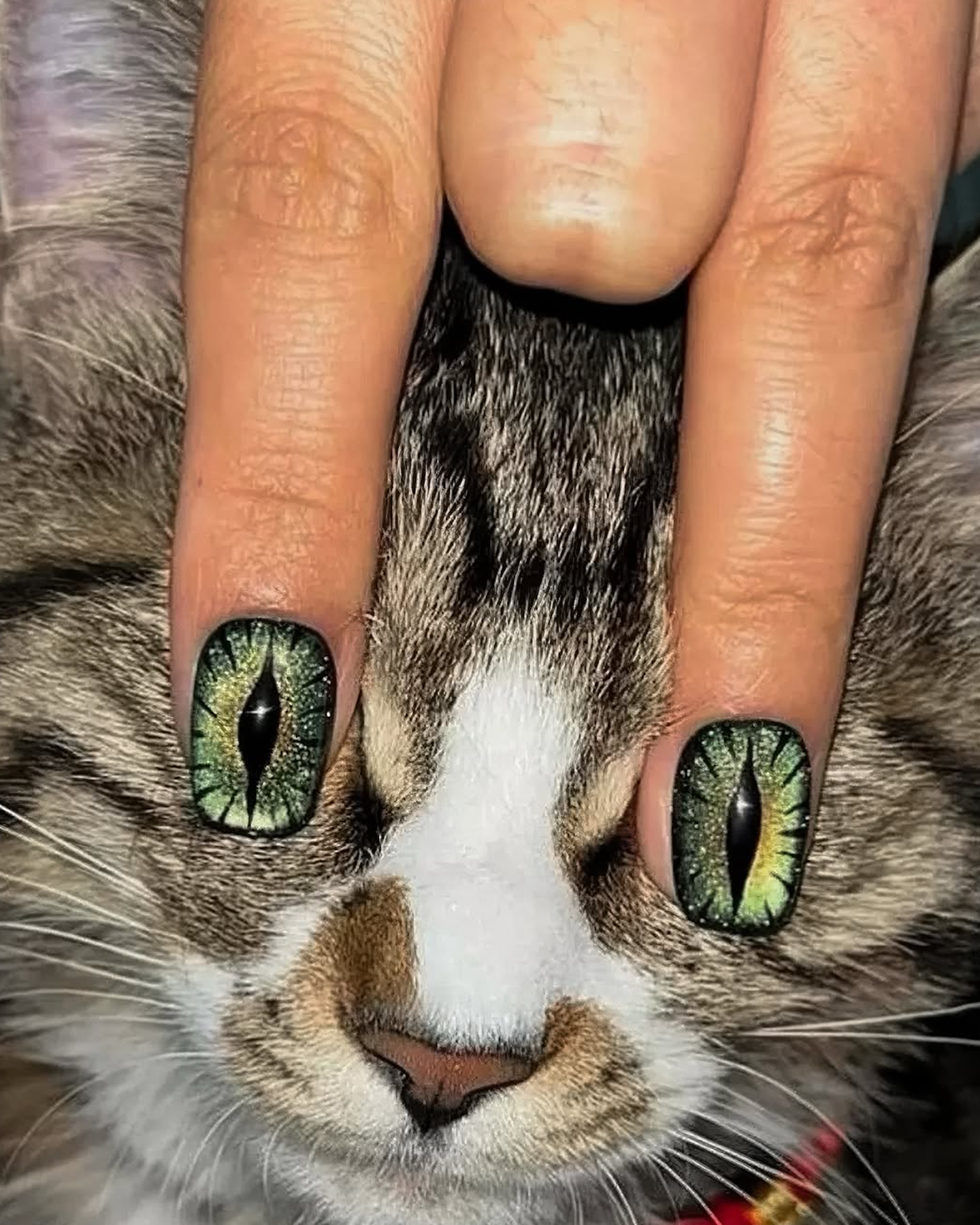 97232760a6739.png