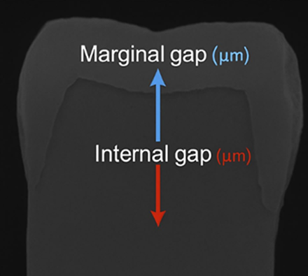 83337c770b533.png