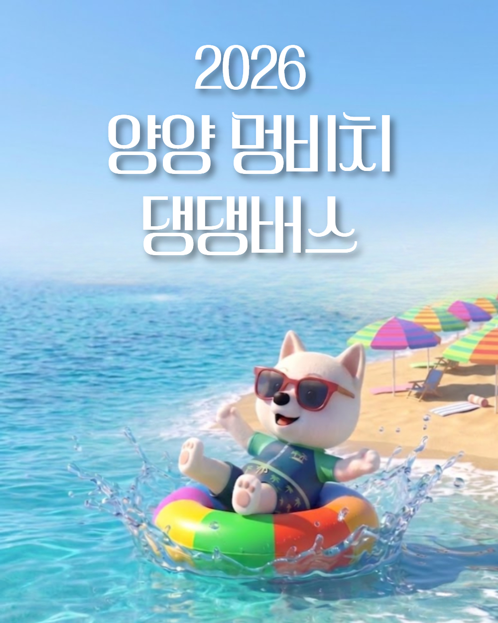 2026 멍비치 댕댕버스