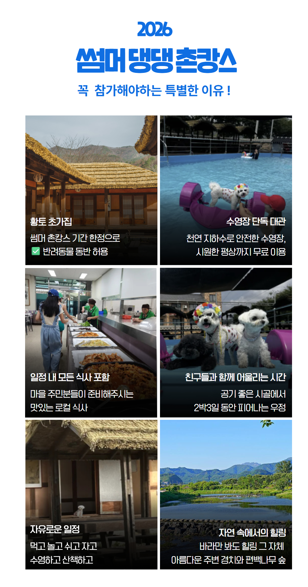 [합정/동작/양재/죽전 경유/현장집결] 썸머 댕댕 촌캉스 (in 완주 경천애인마을)