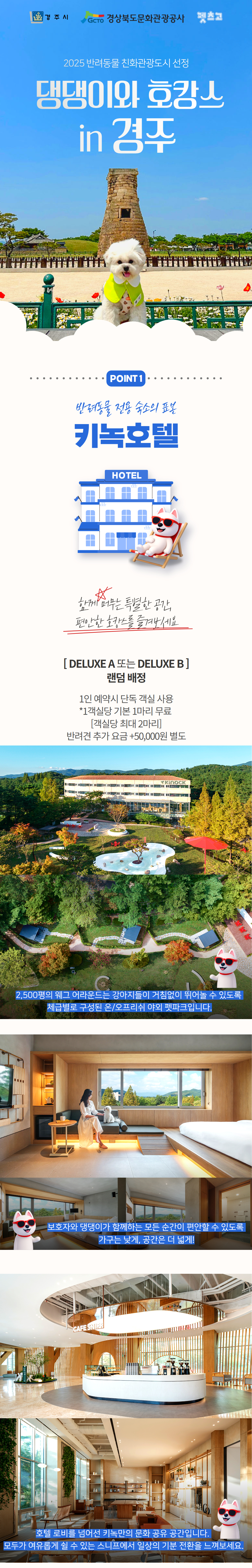 [이벤트/할인] 댕댕이랑 호캉스 in 경주