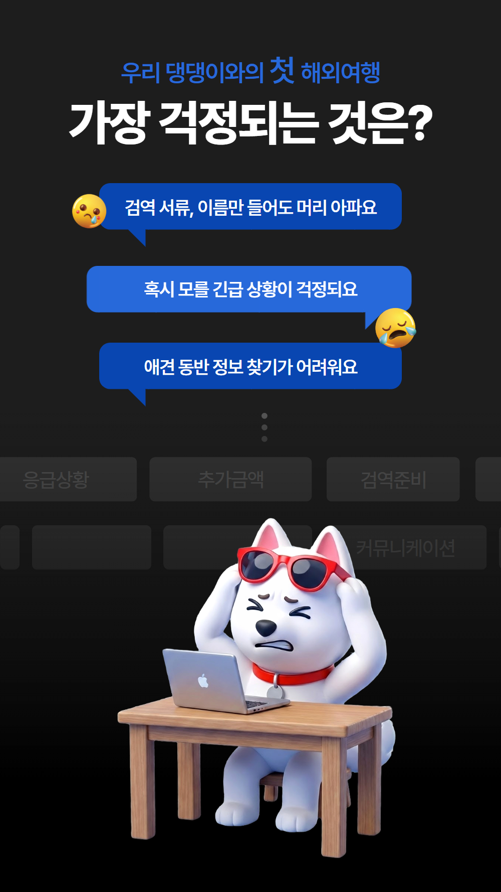 [항공] 펫츠고 칭다오 2박 3일