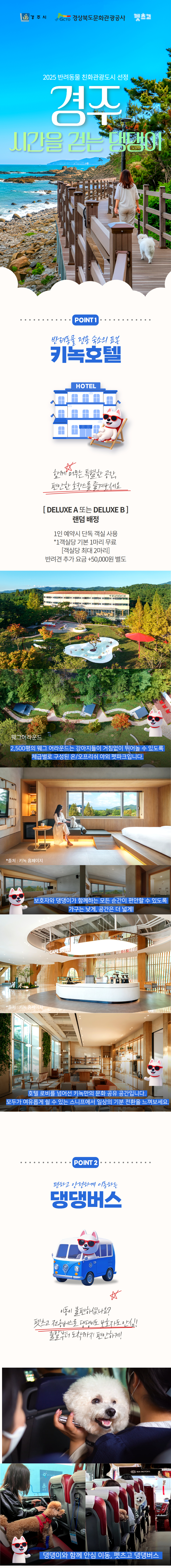 [이벤트/할인] 경주 시간을 걷는 댕댕이 1박2일
