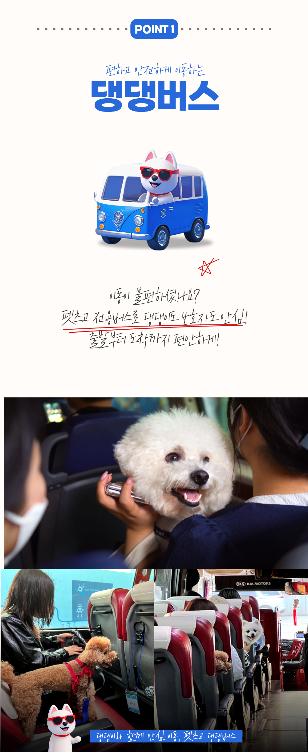 2026 멍비치 댕댕버스