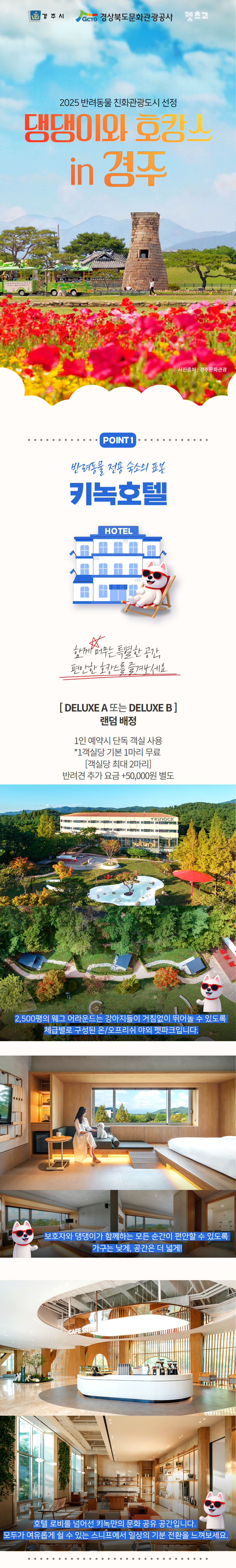 [이벤트/할인] 댕댕이랑 호캉스 in 경주