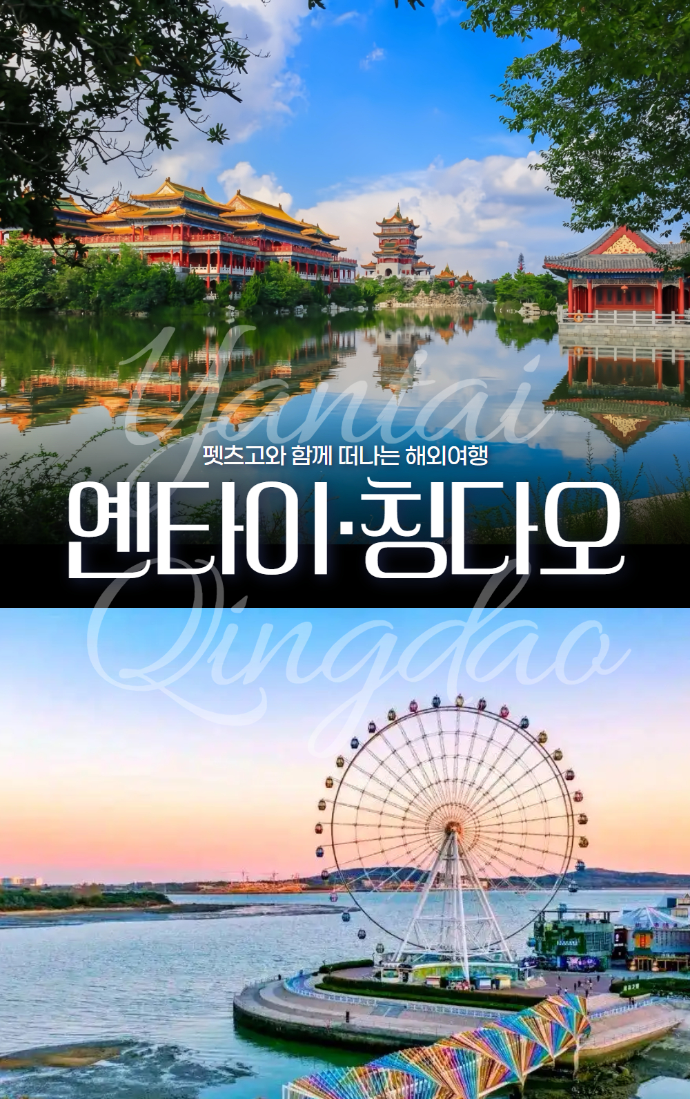 [선박] 펫츠고 옌타이 칭다오 4박 5일
