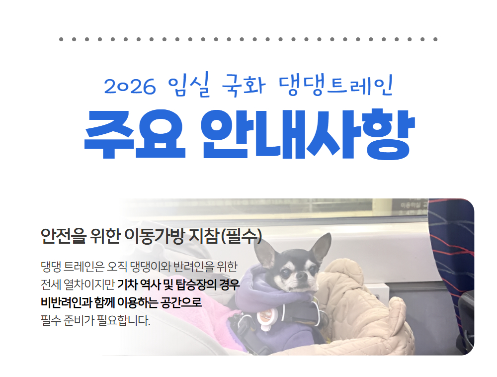 [이벤트]임실 국화 댕댕트레인
