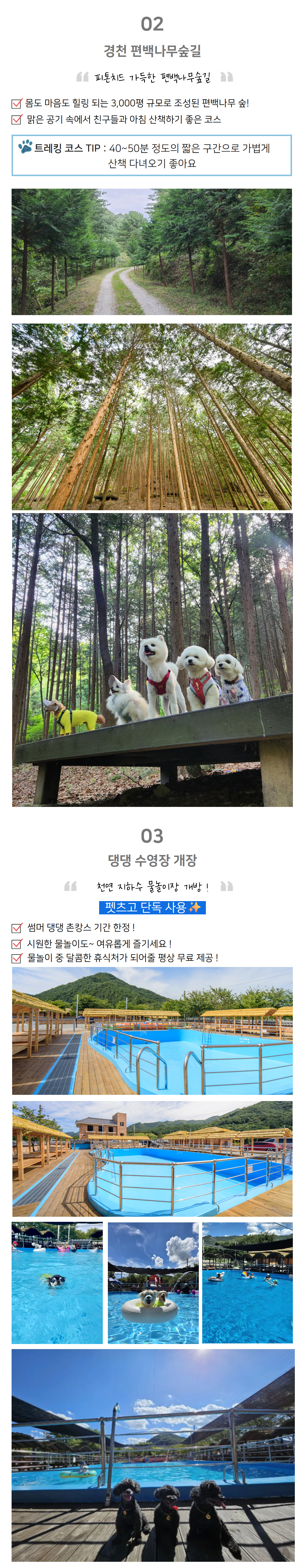 [합정/동작/양재/죽전 경유/현장집결] 썸머 댕댕 촌캉스 (in 완주 경천애인마을)