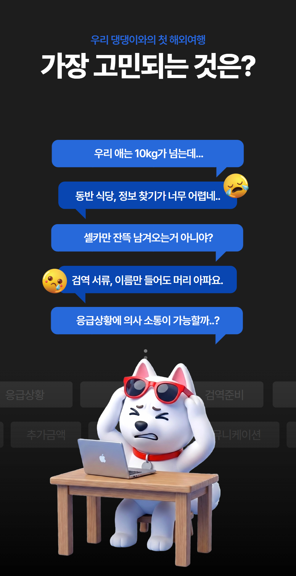 [선박] 펫츠고 옌타이 칭다오 4박 5일