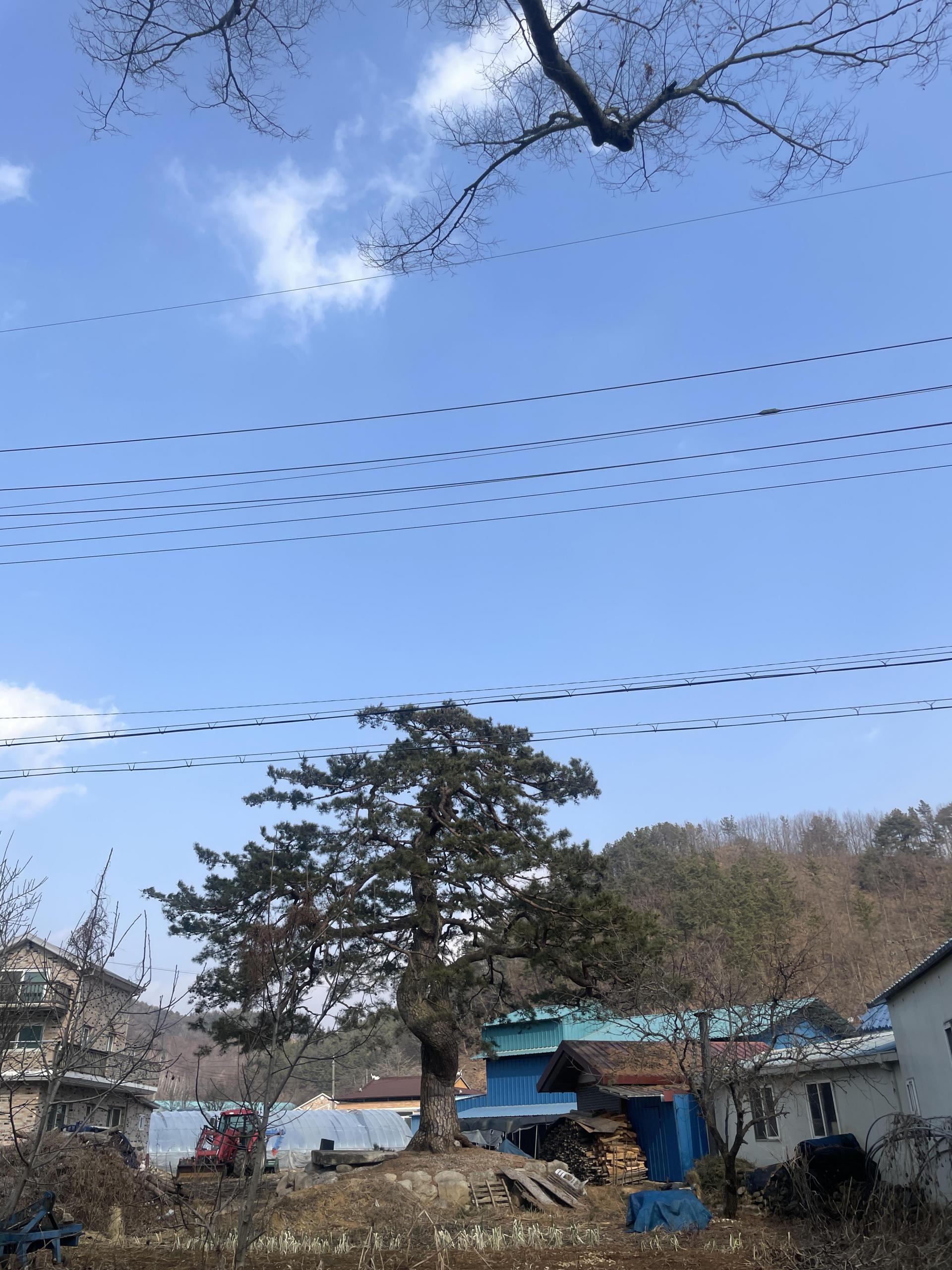 KakaoTalk_20260427_085624090_06.jpg
