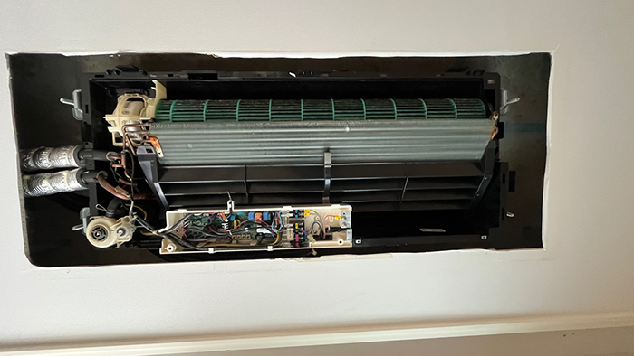 d87502aa2f04b.png