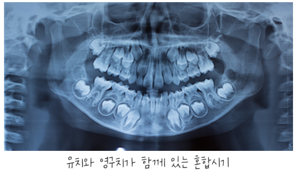 fbb0b945842d0.png