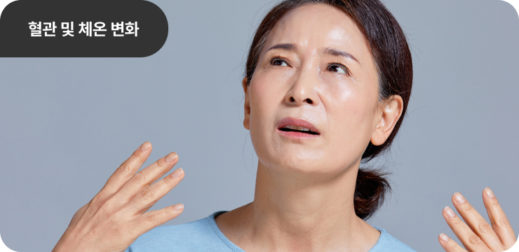 갱년기 증상 : 혈관 및 체온 변화
