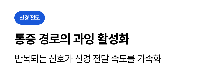 회음부 통증 만성화 증상 : 통증 경로의 과잉 활성화
