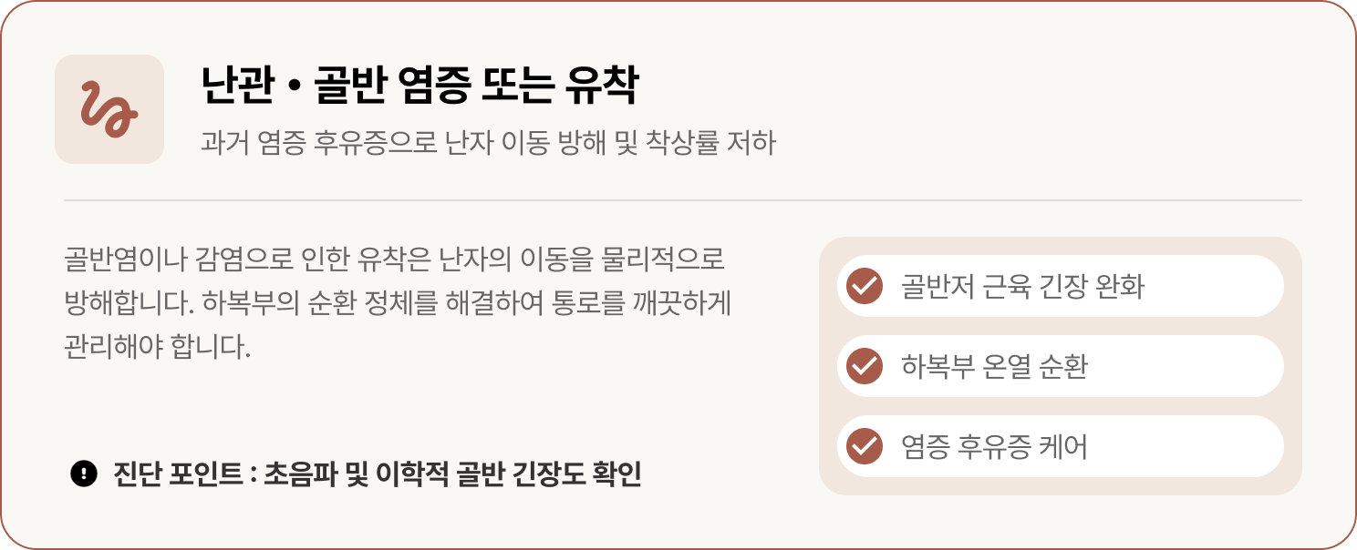 난임 원인 : 난관 • 골반 염증 또는 유착