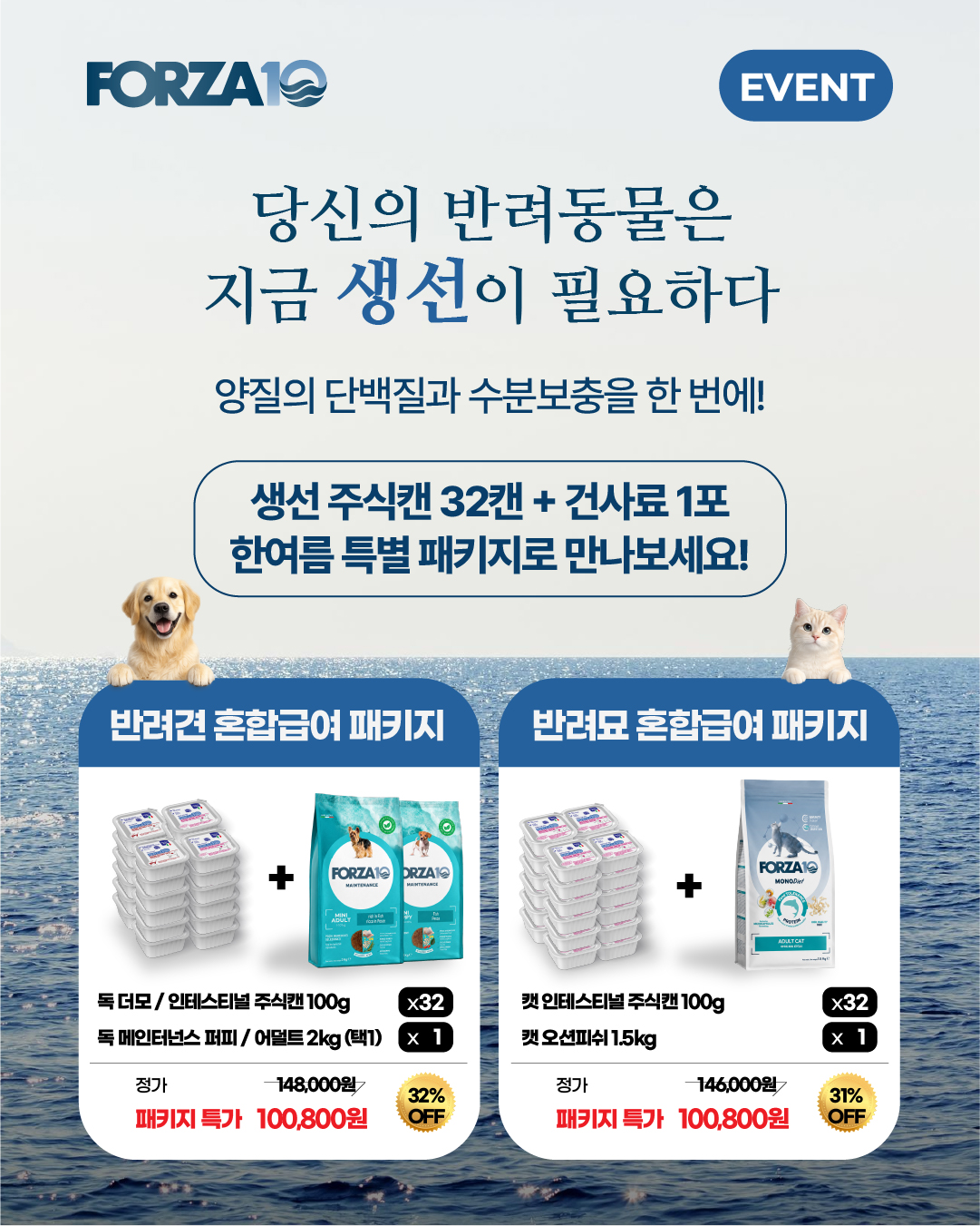 독 더모 주식캔 100g (피부건강, 피모관리) 증정행사