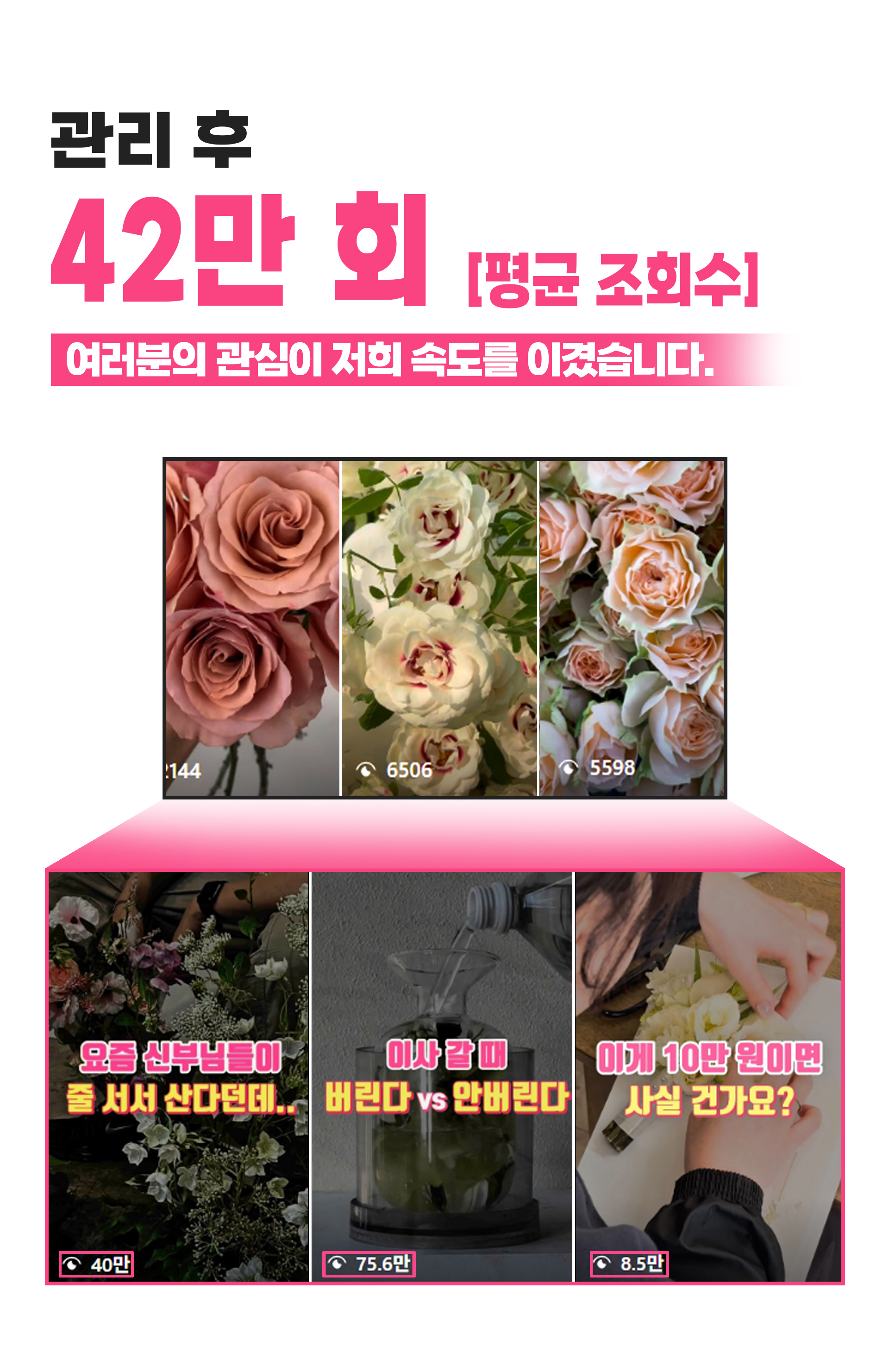 세이프 마케팅 인스타그램 포트폴리오