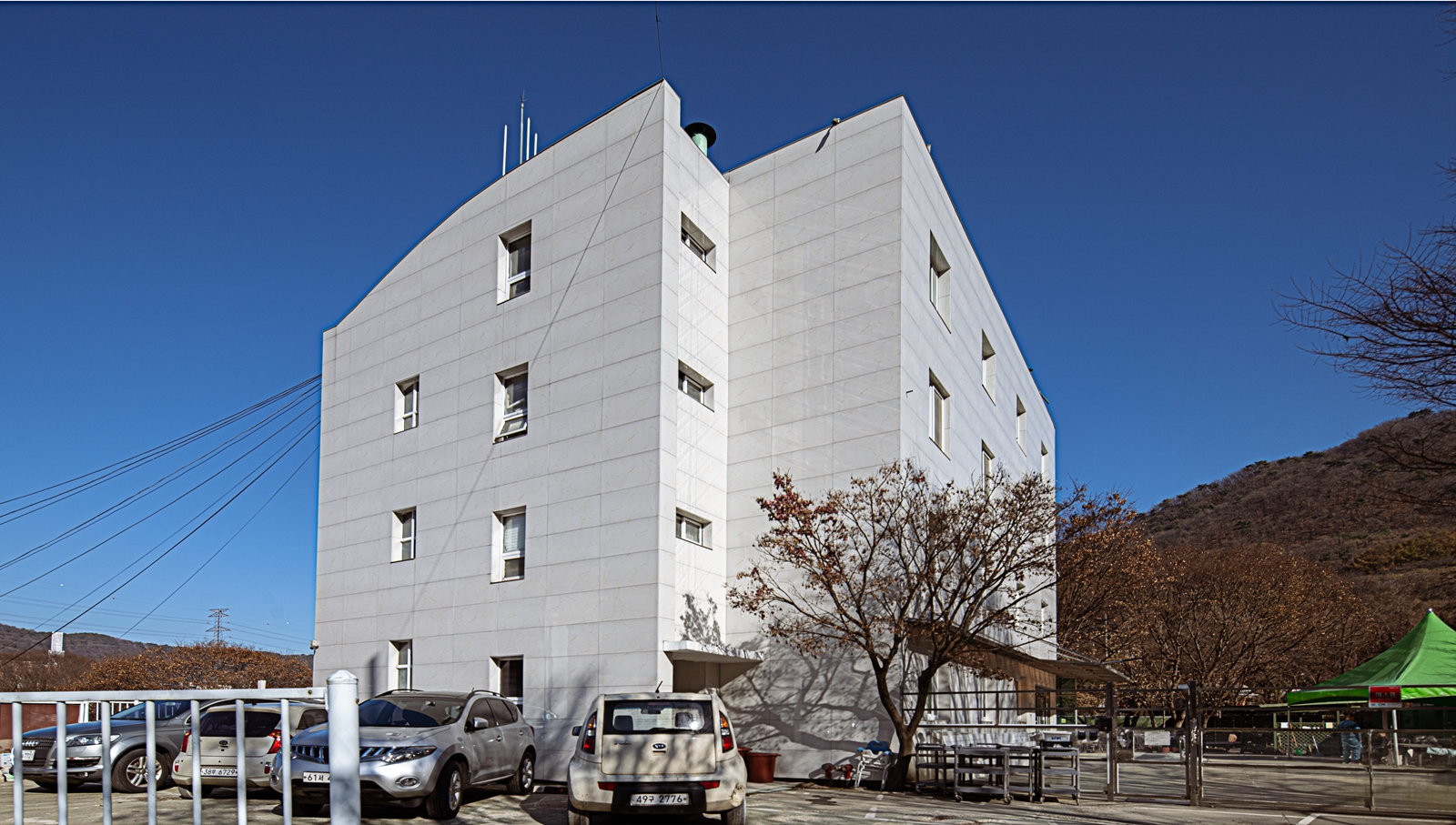1ae8786a01985.png