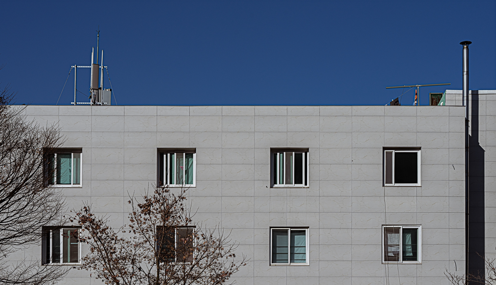 6d1d6f5401b16.png