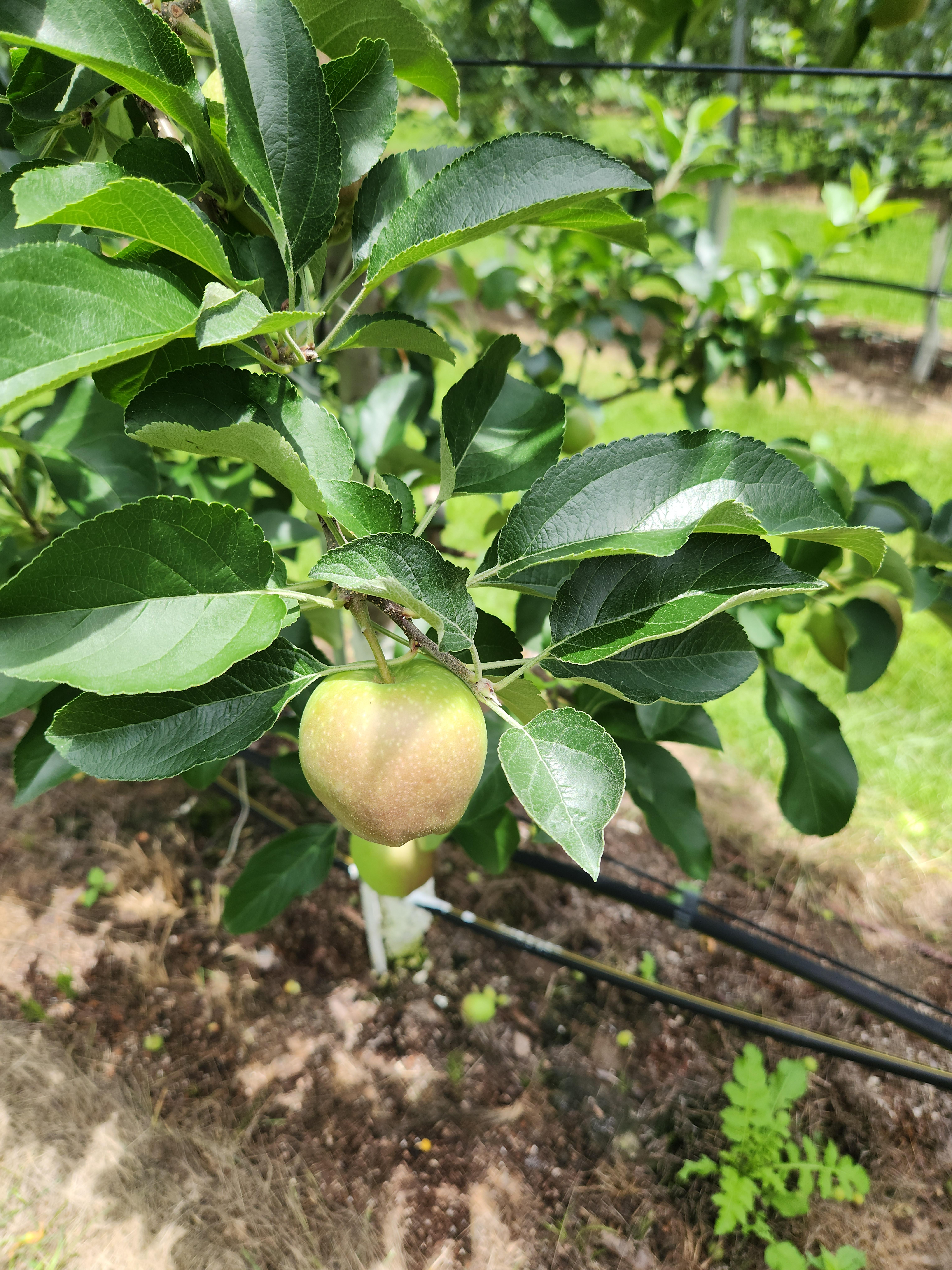 2e22058403d42.jpg