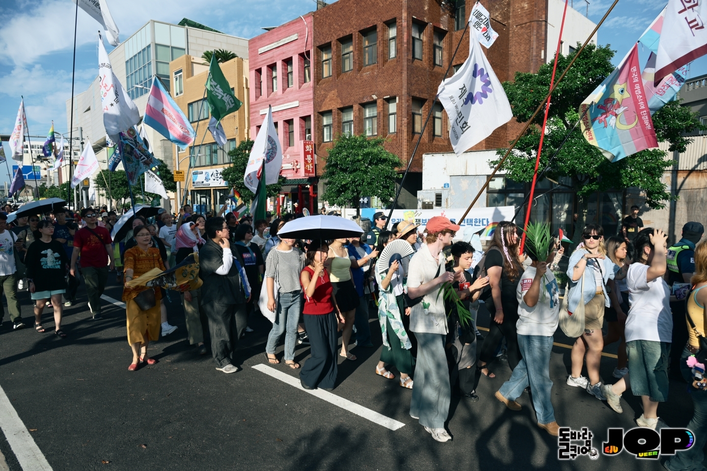 4d9c937de560b.jpg