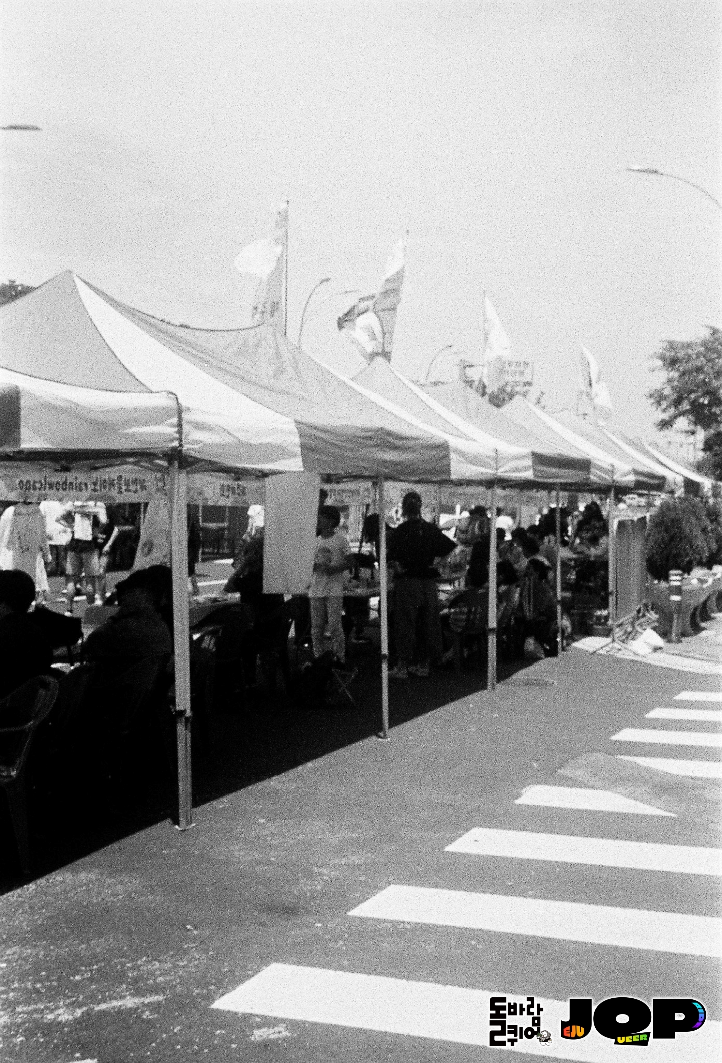 6d13176b65e76.jpg