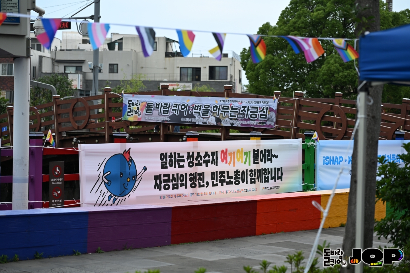 8c63961196653.jpg