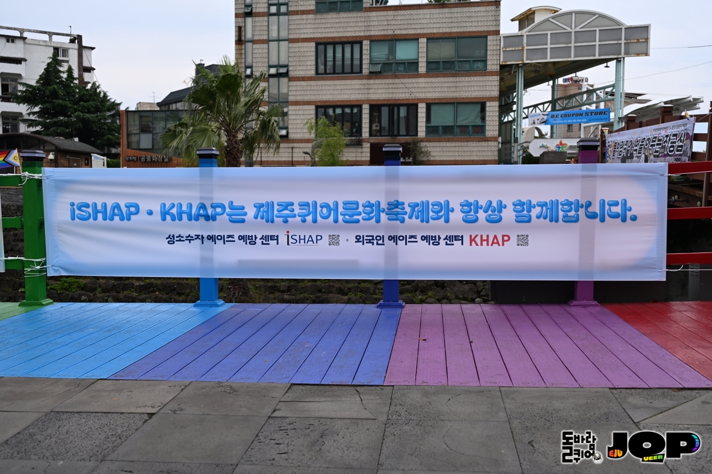 ecc9a8c6724d9.jpg
