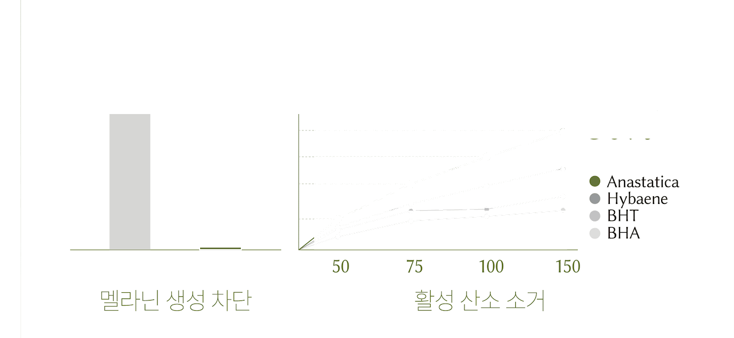 알트 퍼퓸바 어메니티 올리비어 세레인