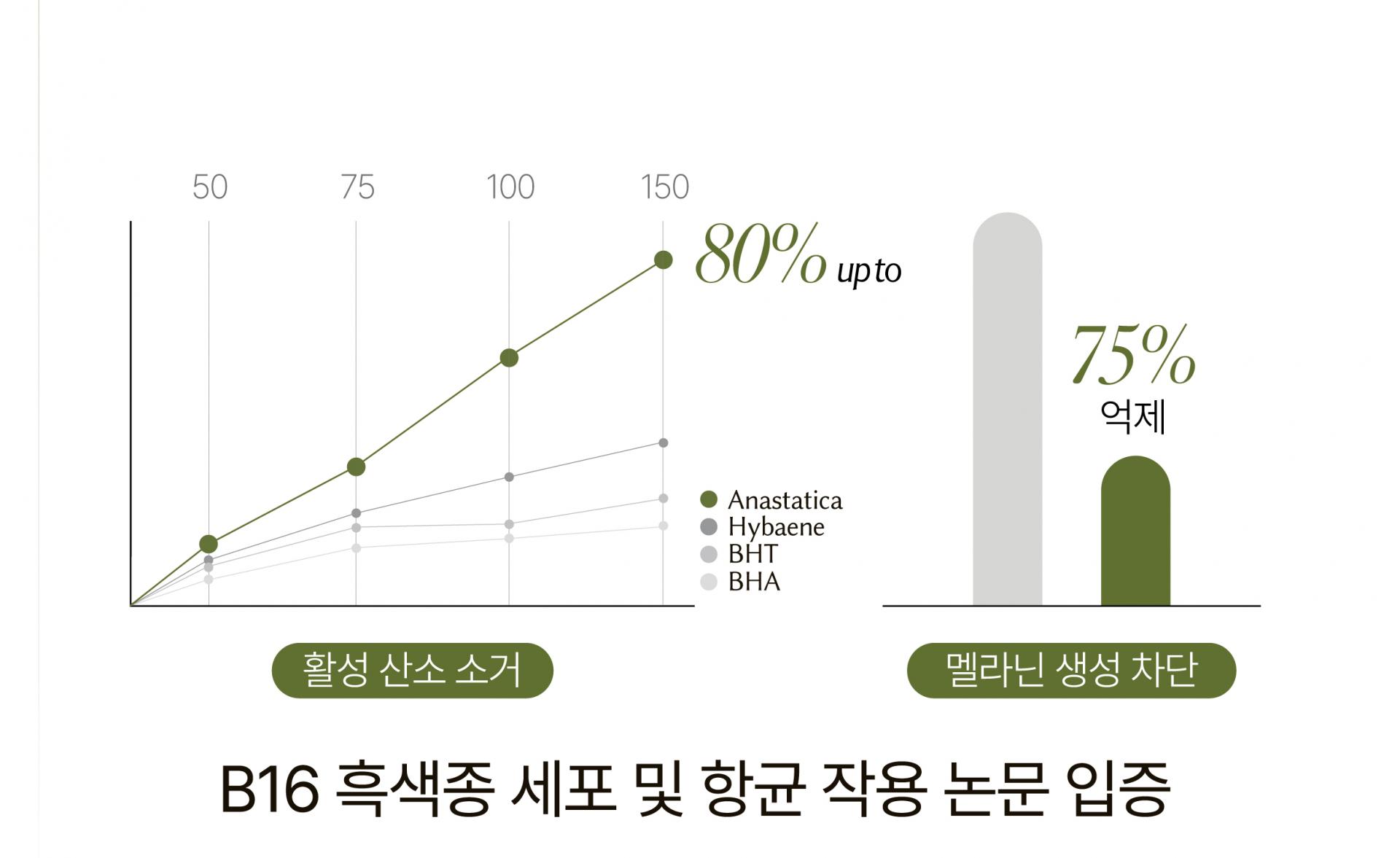 알트 퍼퓸바 어메니티 오아시스 레스트