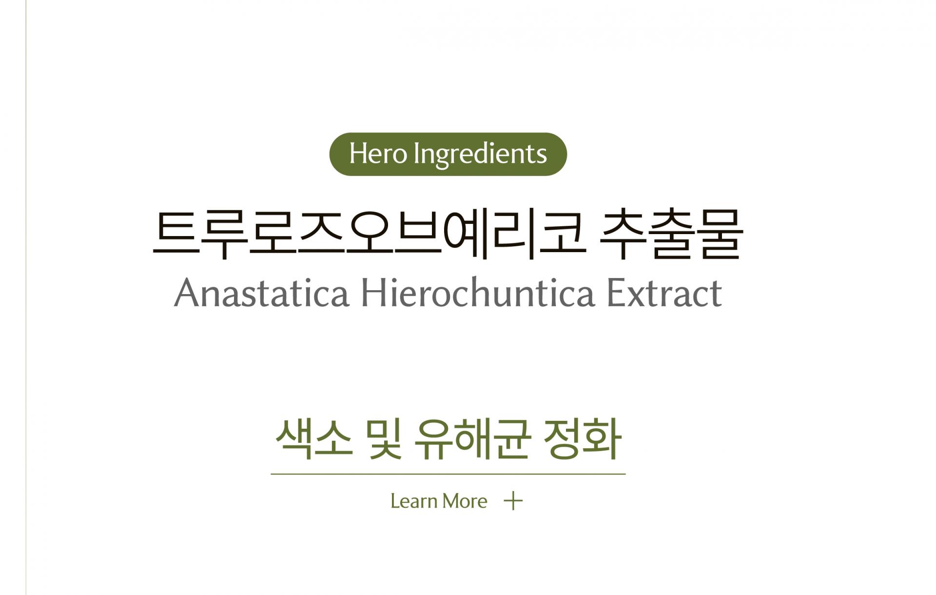 알트 퍼퓸바 어메니티 오아시스 레스트