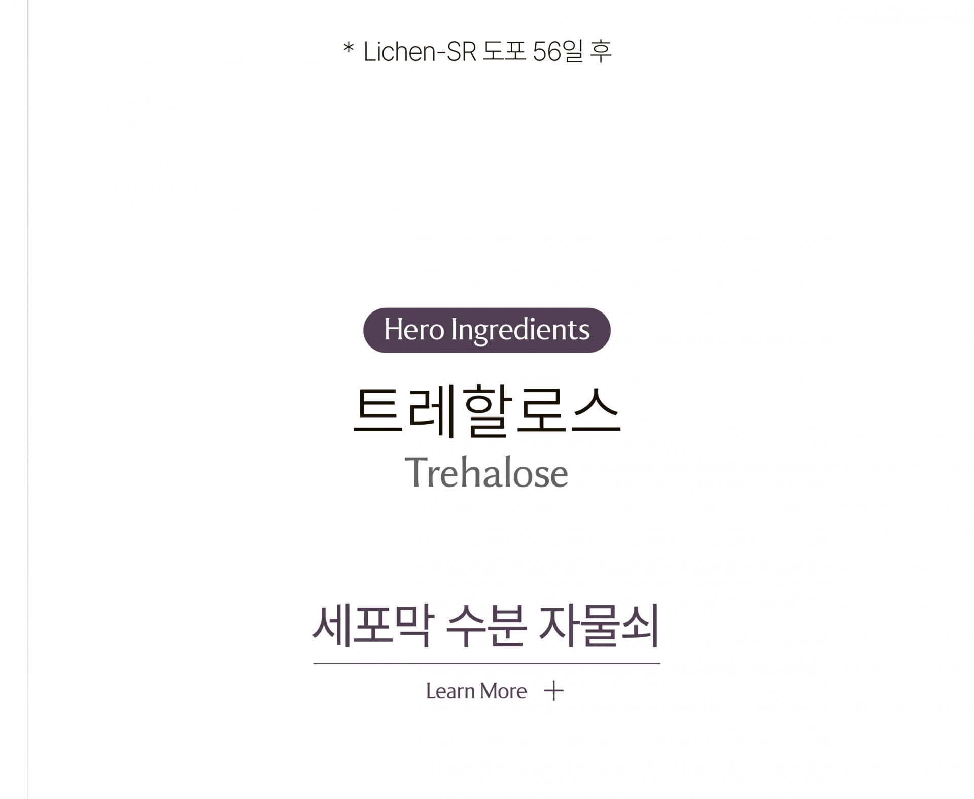 알트 퍼퓸바 어메니티 올리비어 세레인