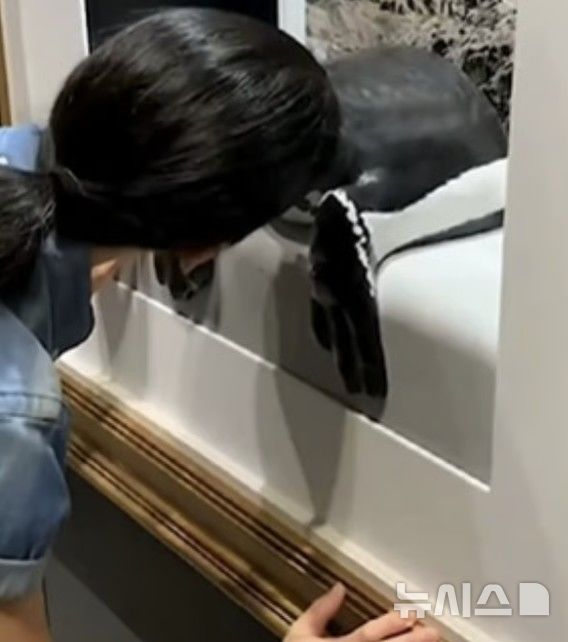 [뉴시스] 일본 아토아 수족관의 관람객이 액자 속 펭귄 엉덩이 냄새를 맡고 있다. (사진=프리프레스저널) 2025.5.22.