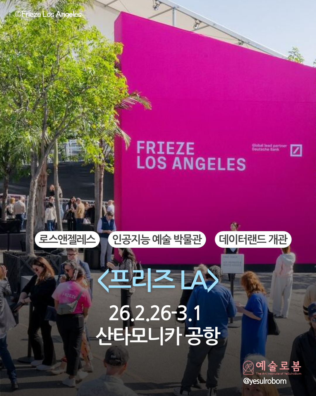 c26fe52416a81.png