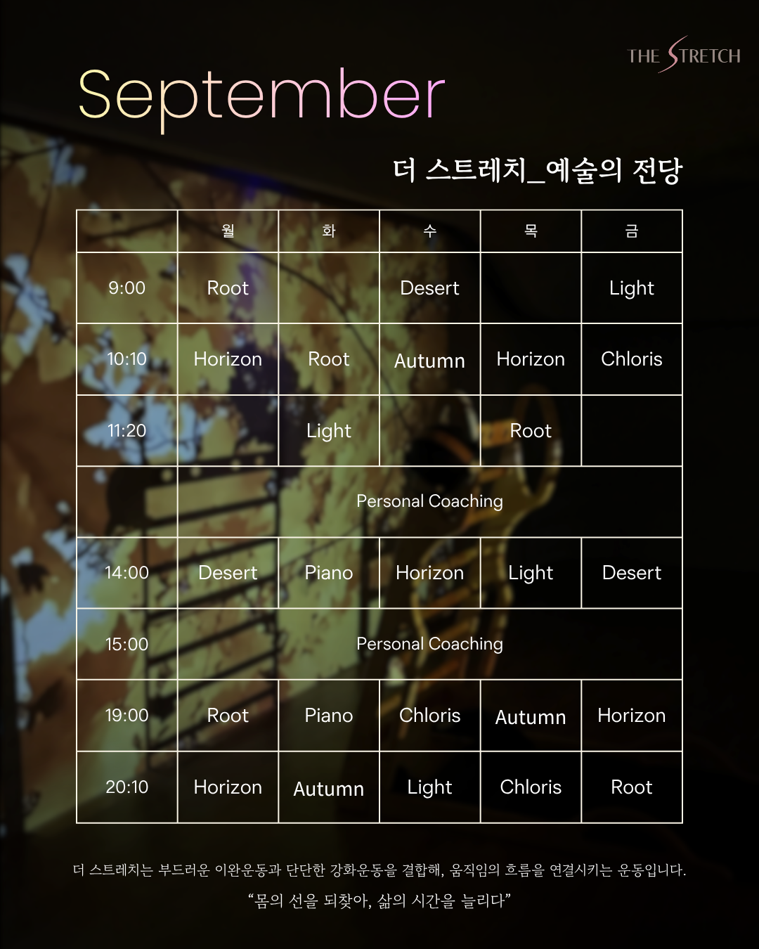 첫 만남팩 (1회 체험권)_예술의 전당