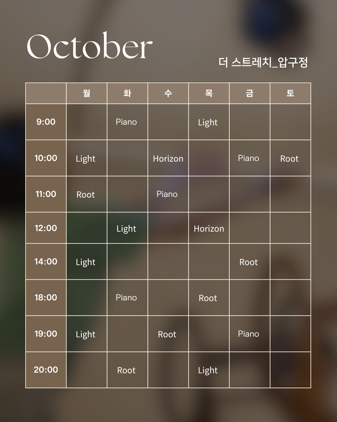 첫 만남팩 (1회 체험권) _ 압구정
