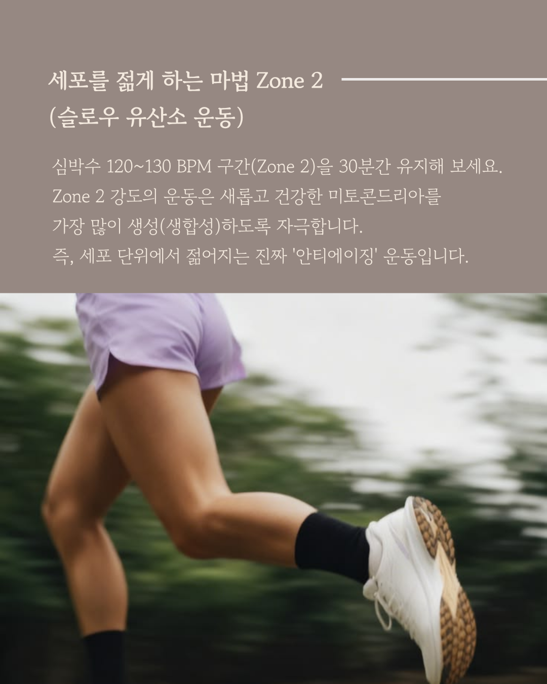Longevity Reset Study - 09.19